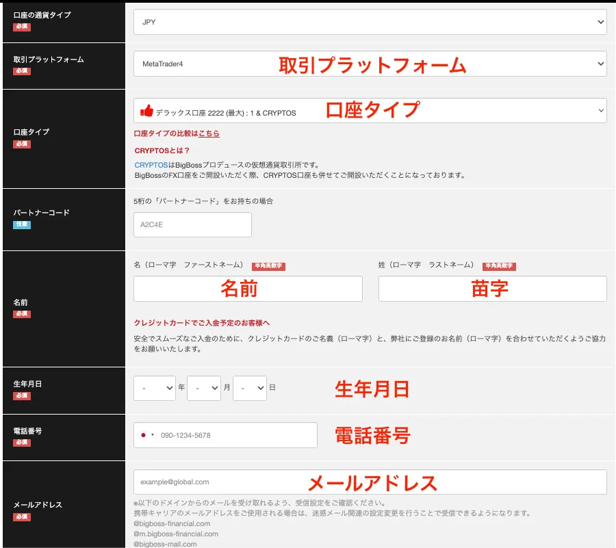 フォームに必要事項を入力